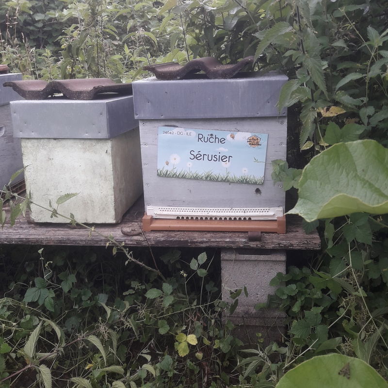 La ruche Sérusier