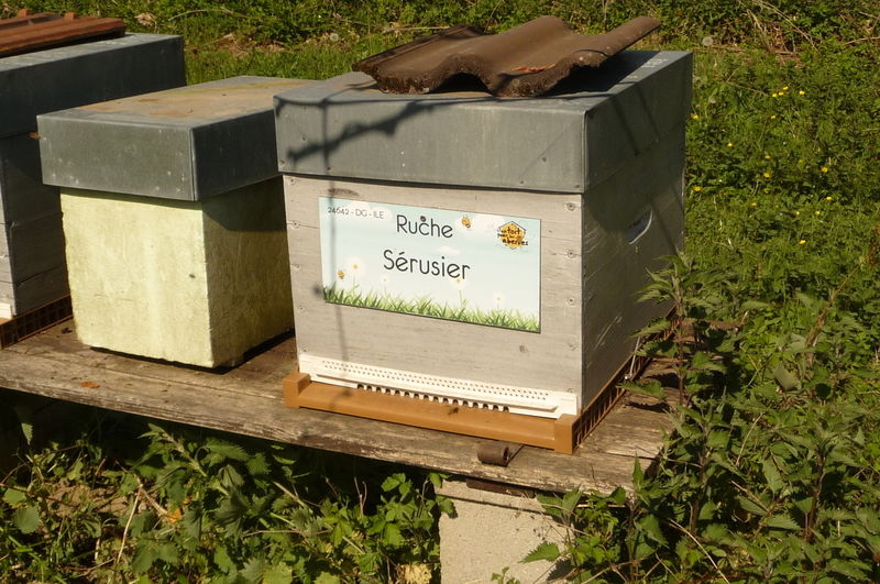 La ruche Sérusier