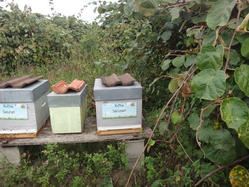 La ruche Sérusier