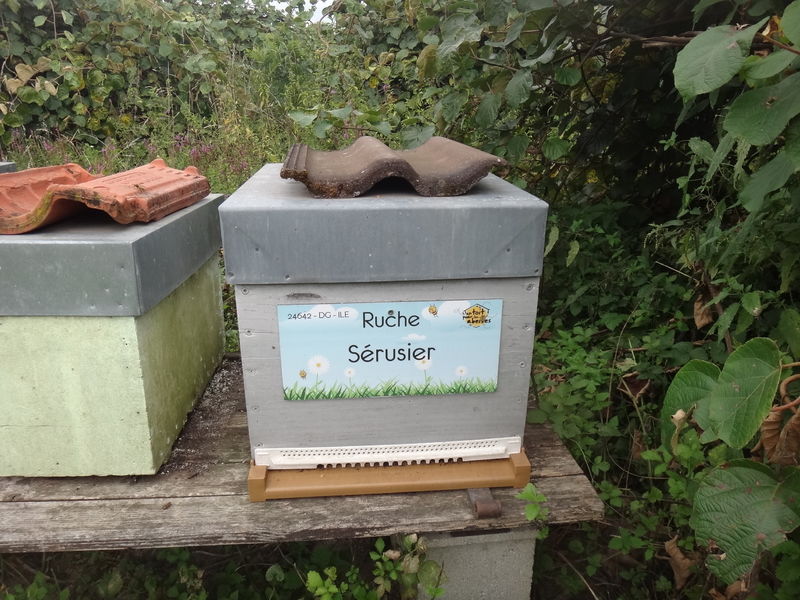 La ruche Sérusier