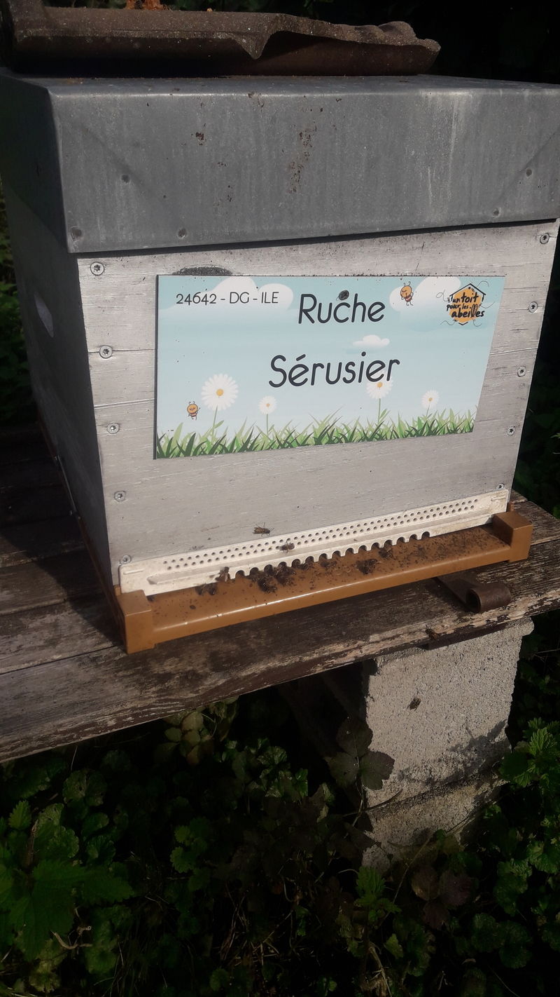 La ruche