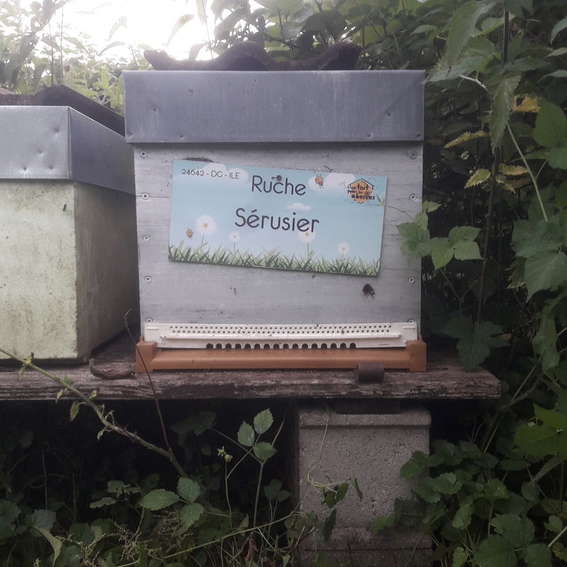 La ruche Sérusier
