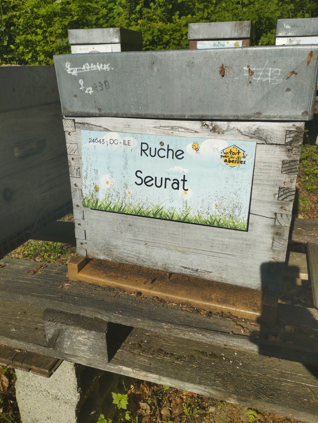 La ruche Seurat