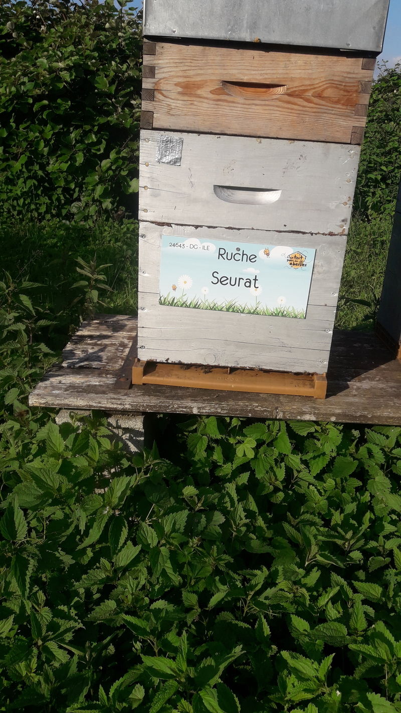 La ruche Seurat