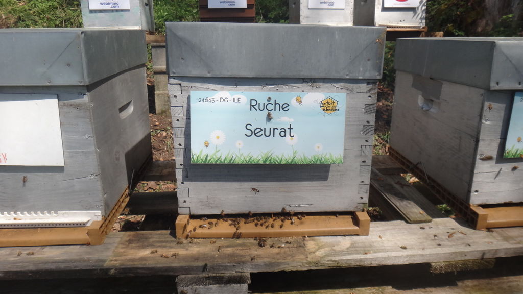 La ruche