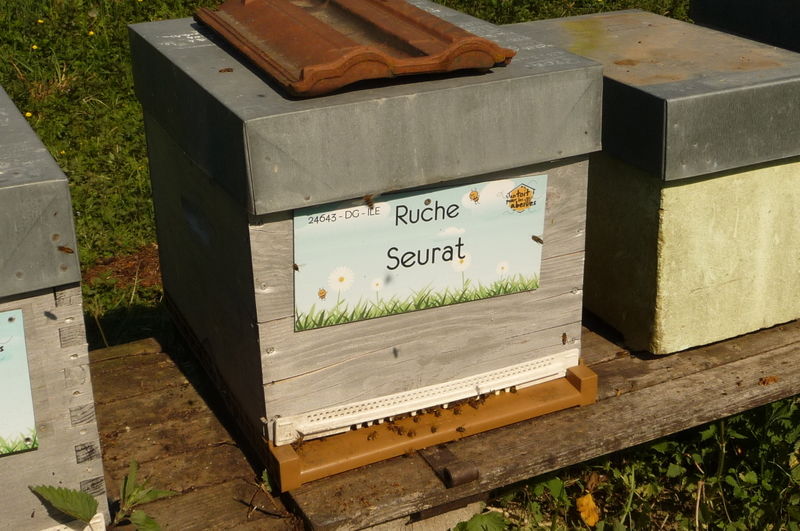 La ruche Seurat