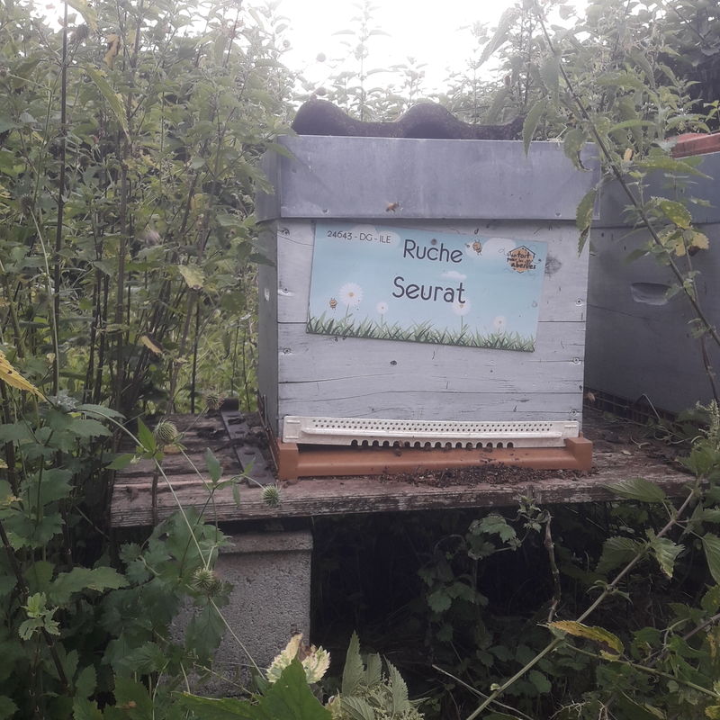 La ruche Seurat