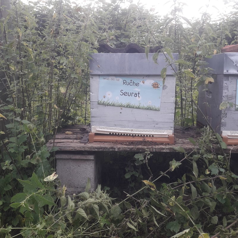 La ruche Seurat