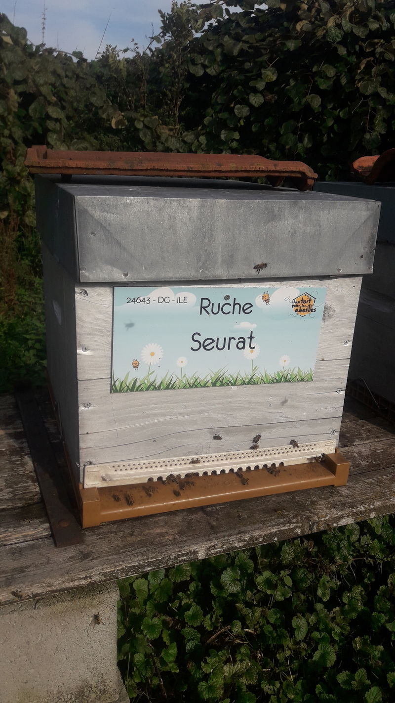 La ruche