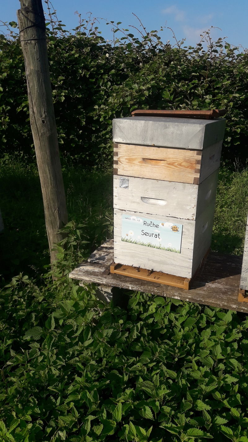 La ruche Seurat