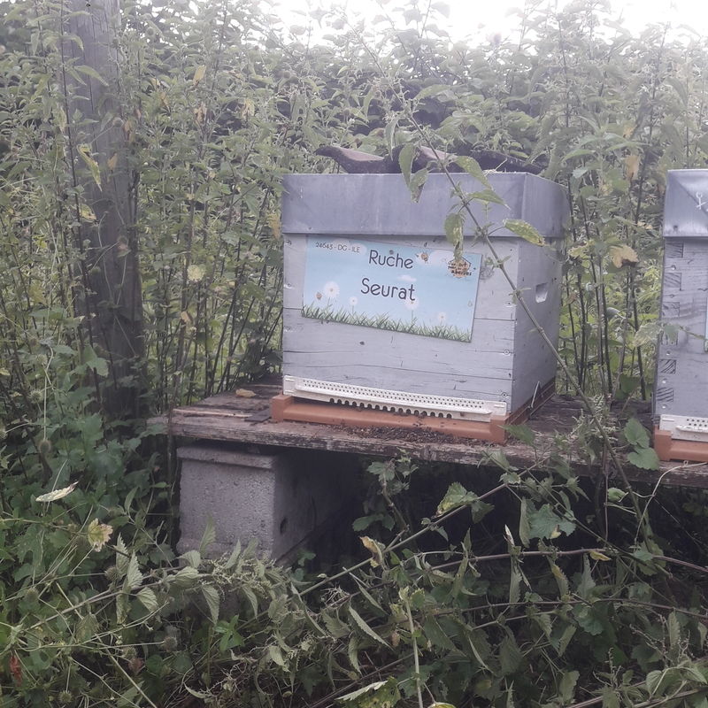 La ruche Seurat