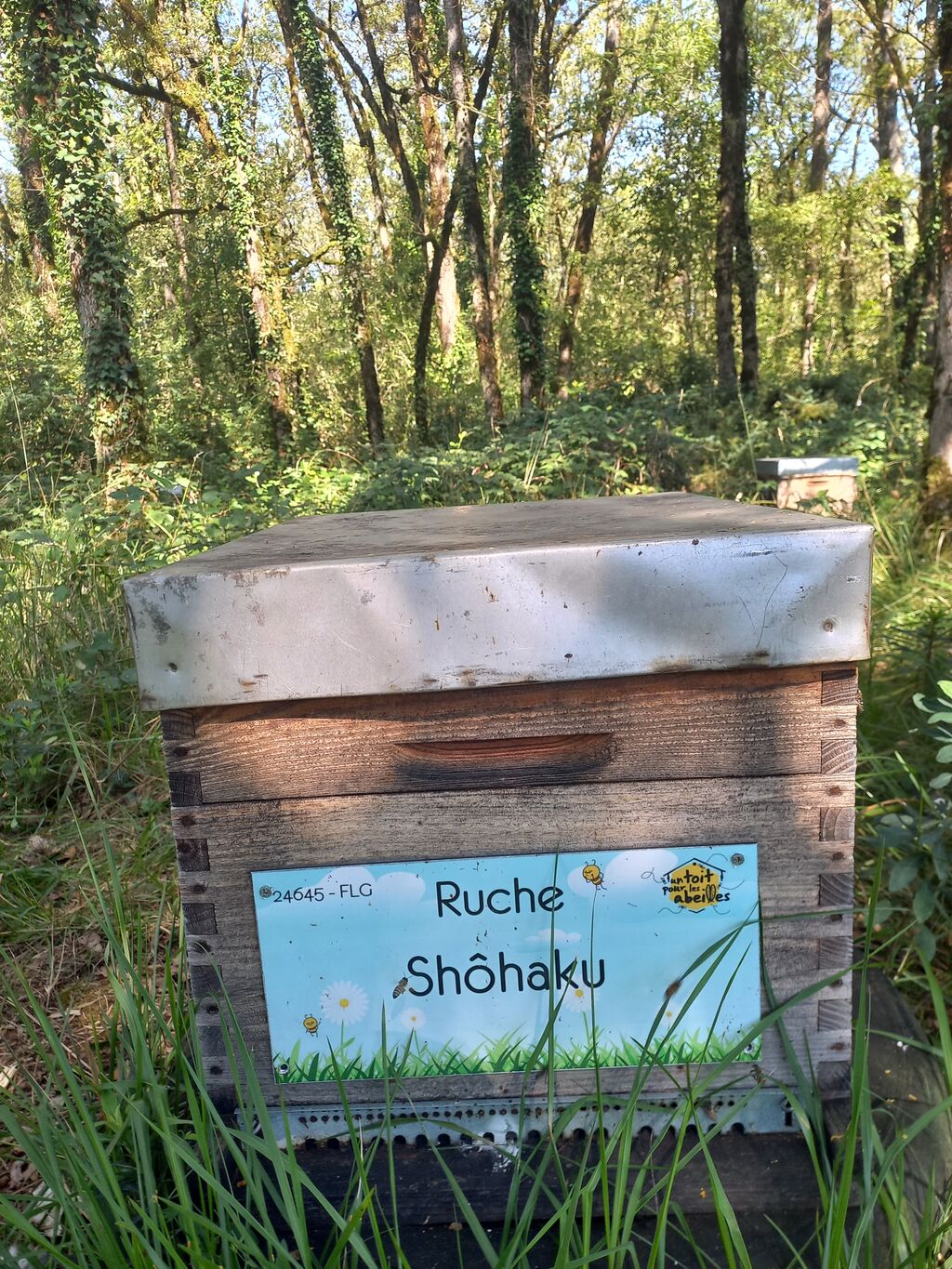 La ruche Shôhaku