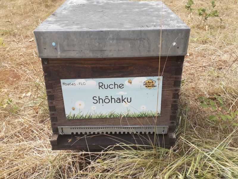 La ruche Shôhaku