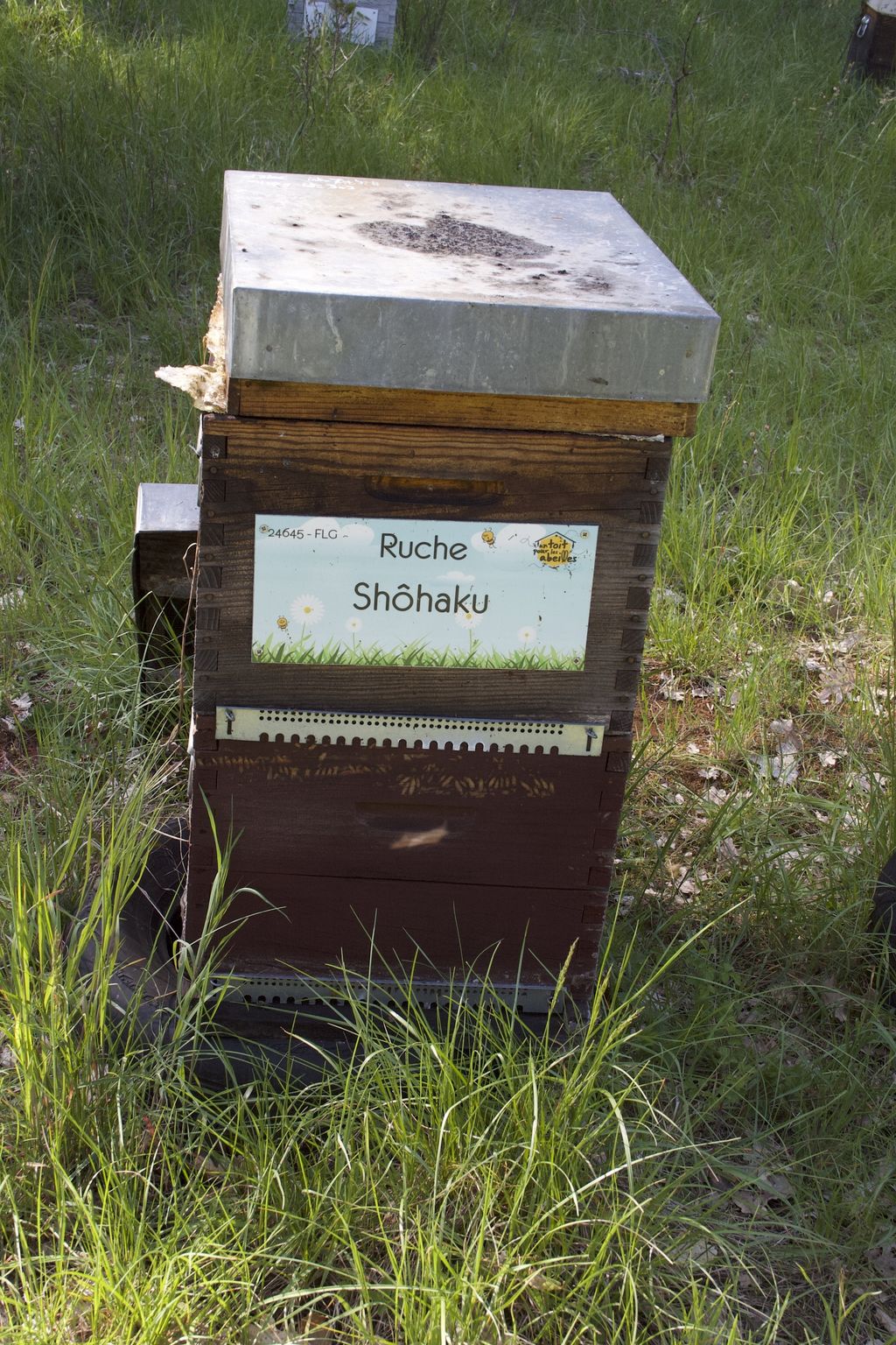 La ruche Shôhaku