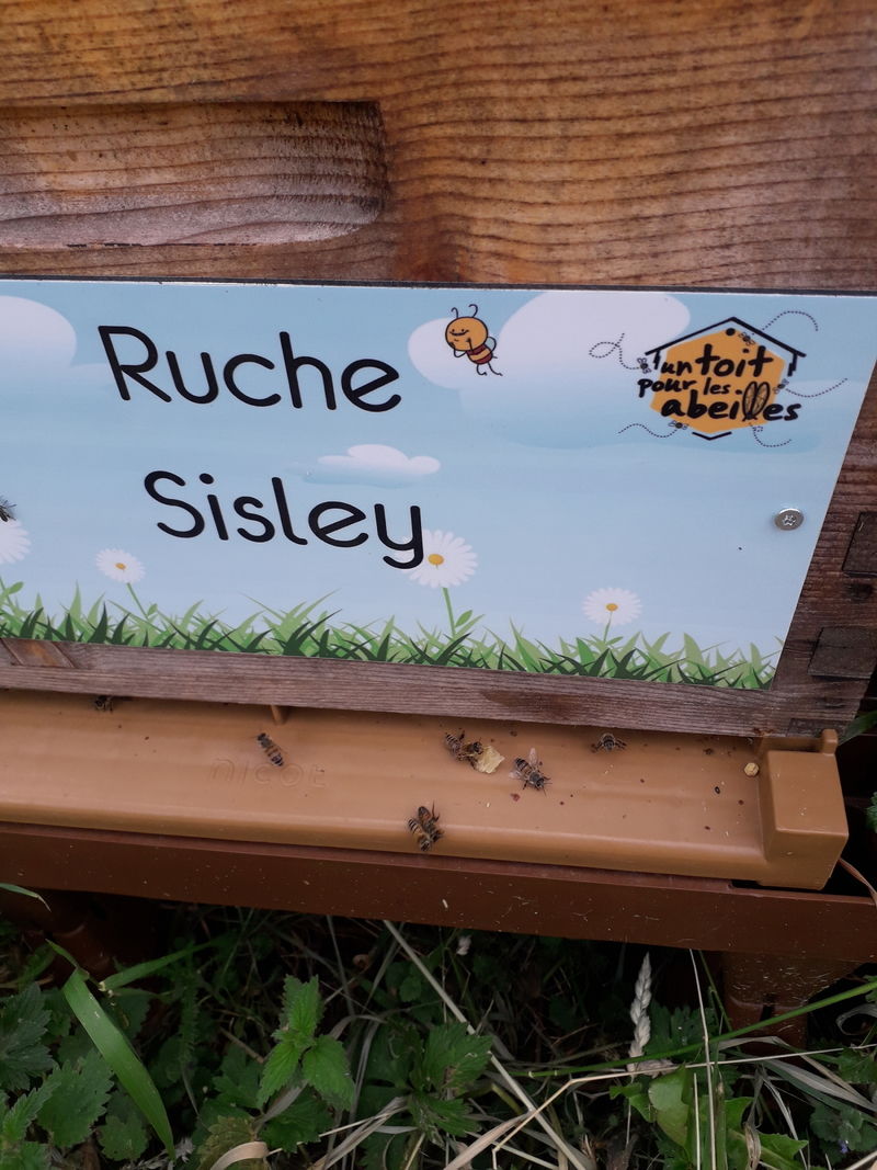La ruche