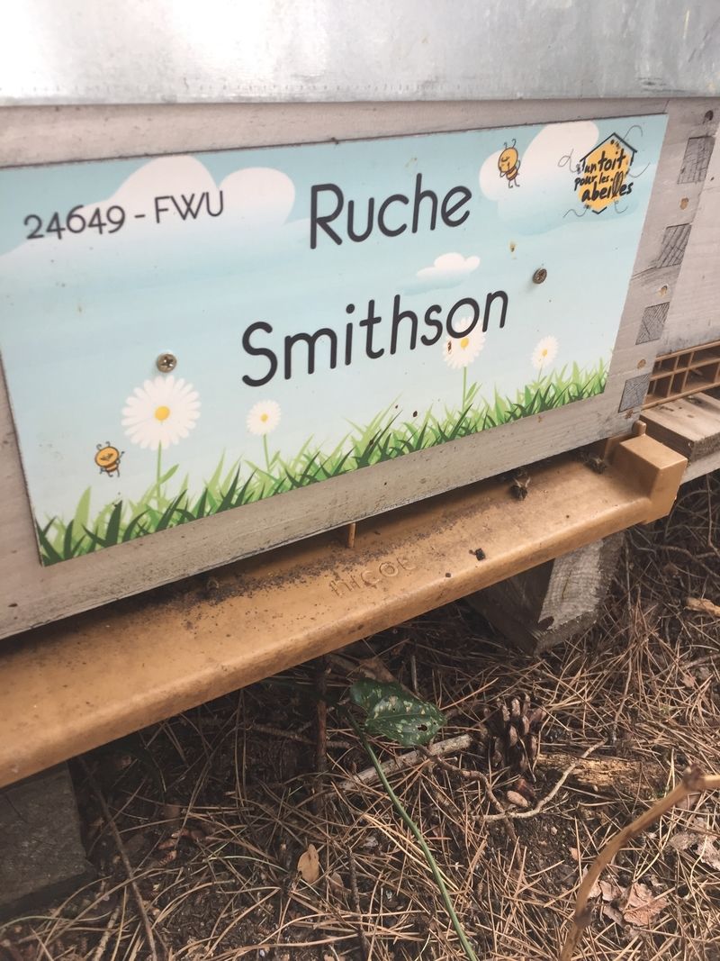 La ruche Smithson
