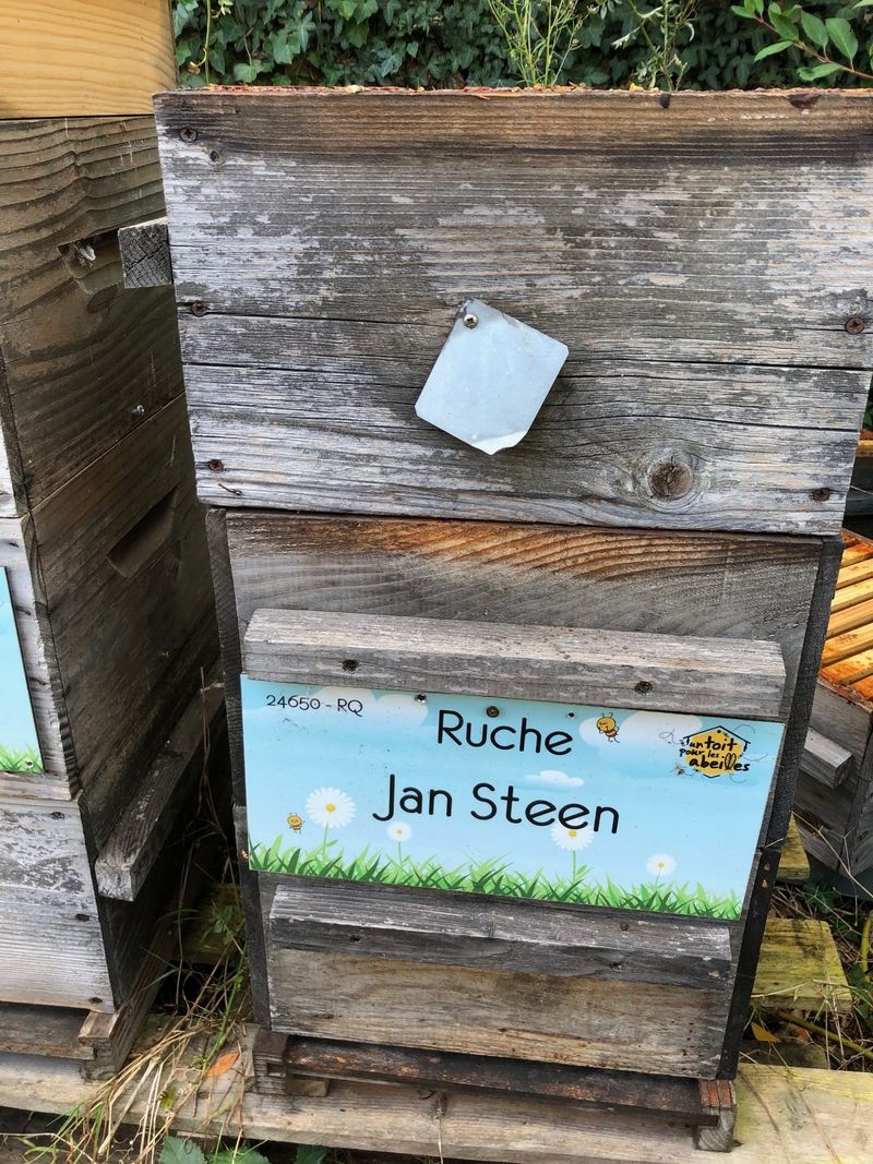 La ruche Jan Steen