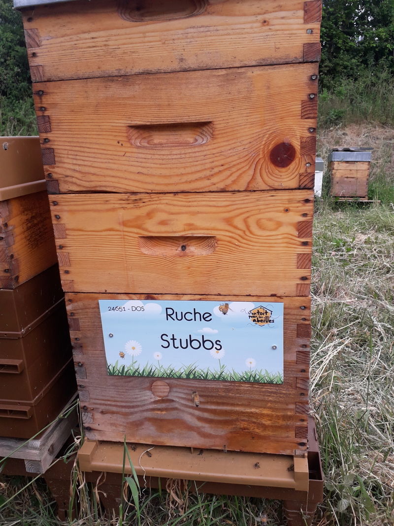 La ruche Stubbs