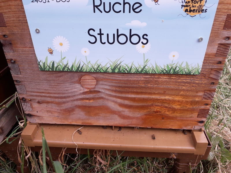 La ruche Stubbs