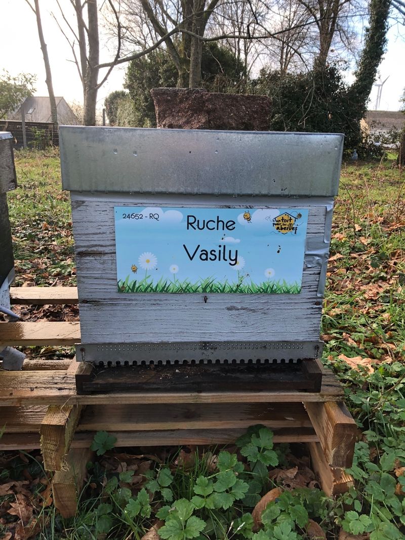 La ruche
