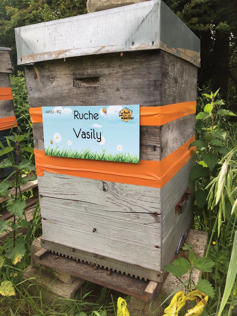 La ruche