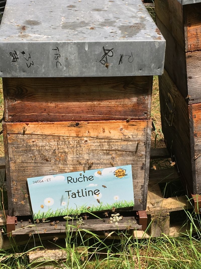 La ruche Tatline