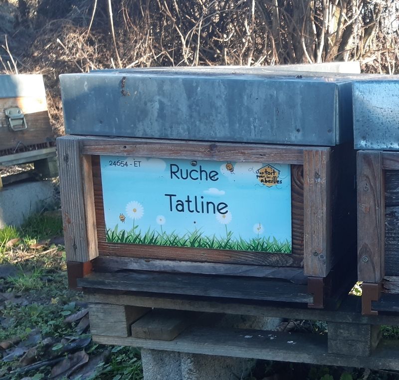 La ruche Tatline