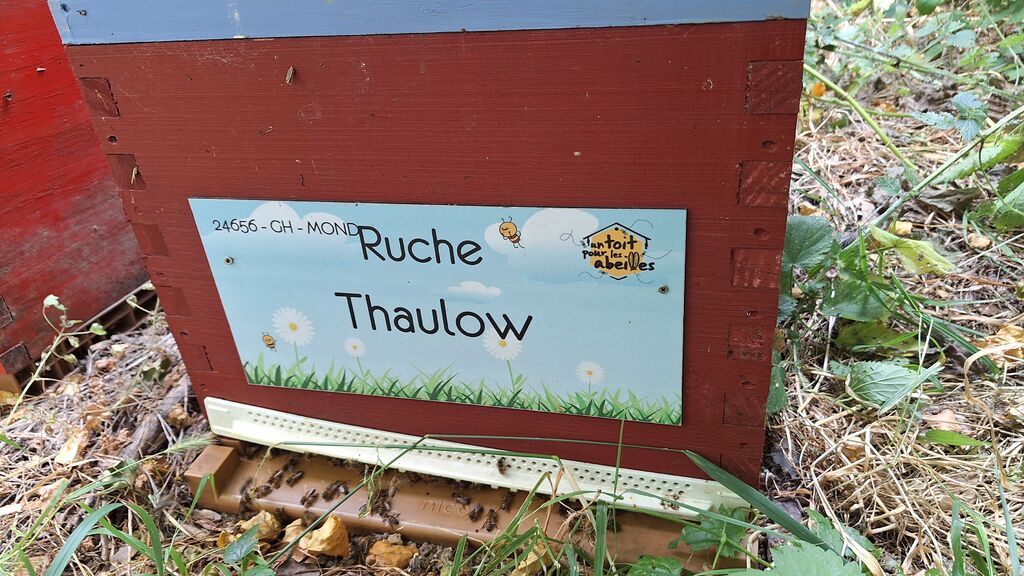 La ruche Thaulow