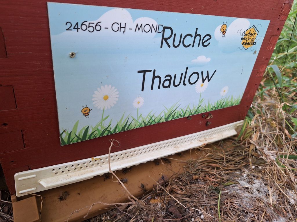 La ruche Thaulow