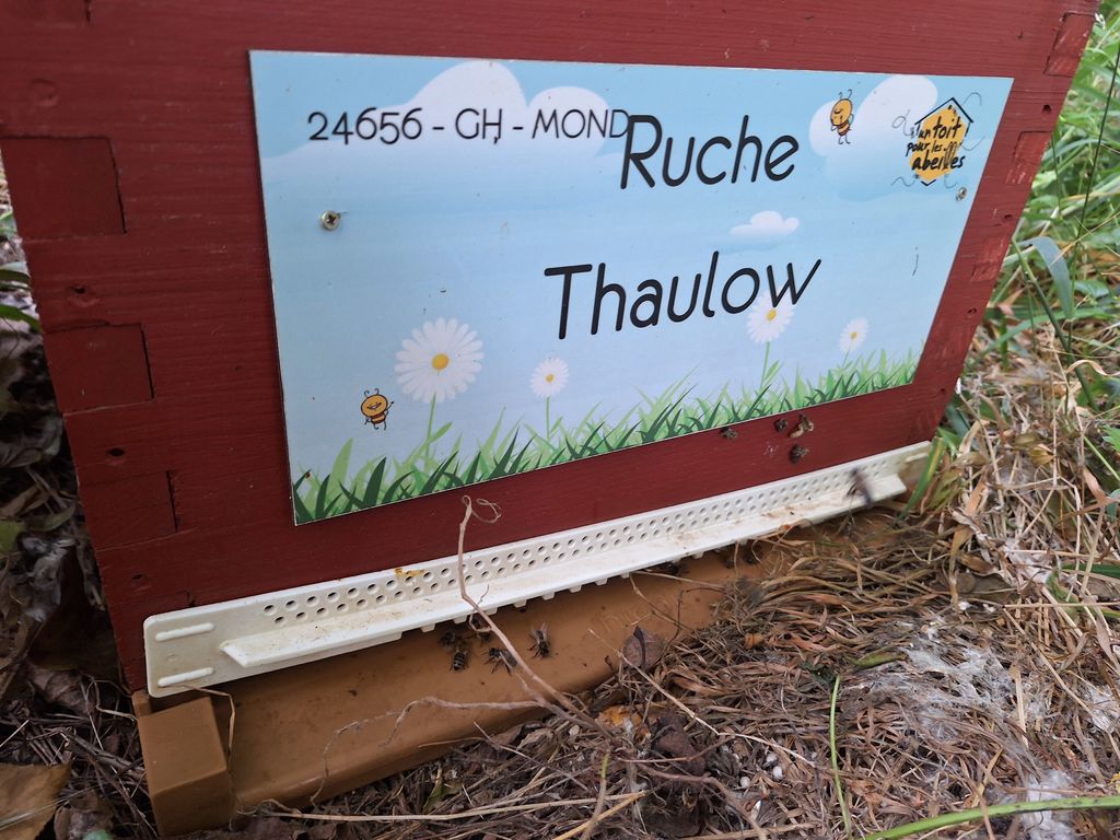 La ruche Thaulow