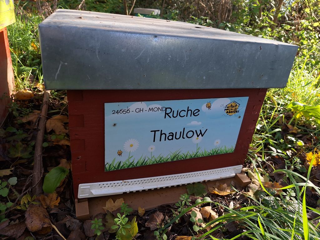 La ruche Thaulow