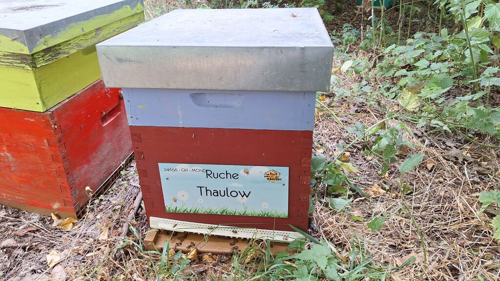 La ruche Thaulow
