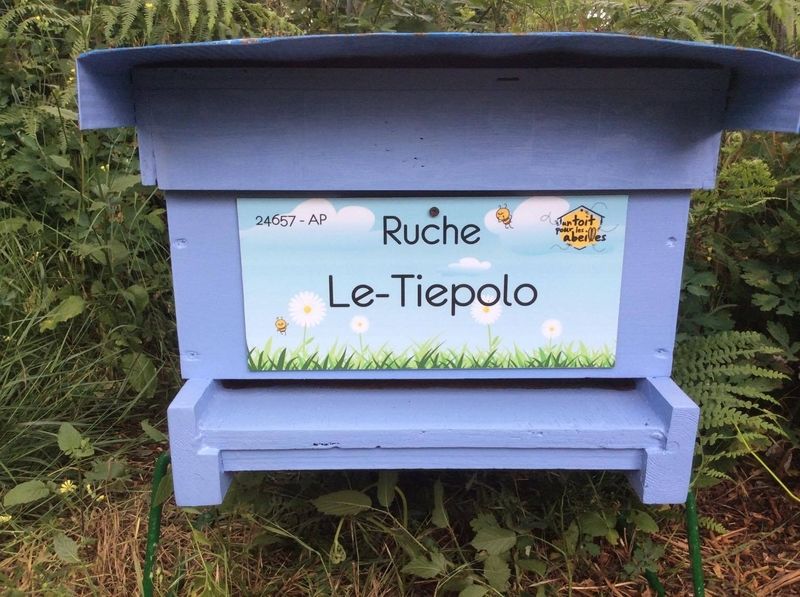 La ruche Le-Tiepolo