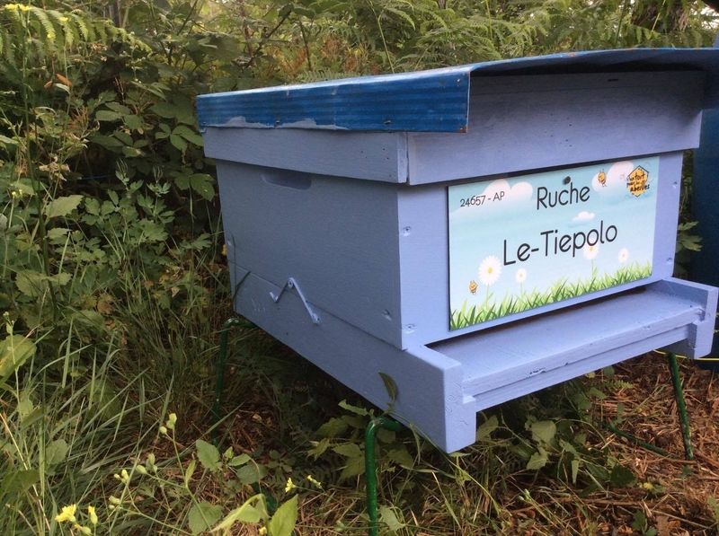La ruche Le-Tiepolo