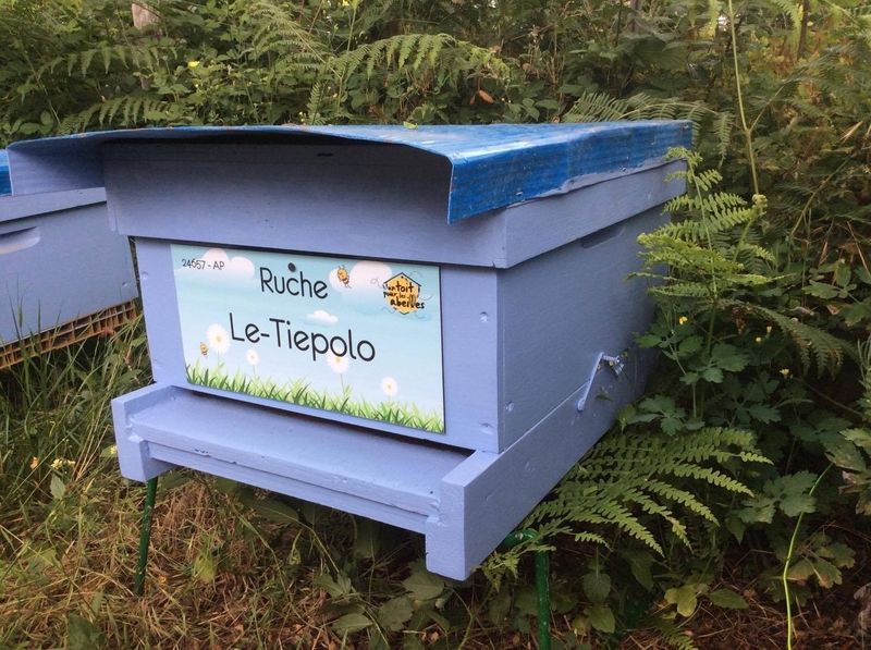 La ruche Le-Tiepolo