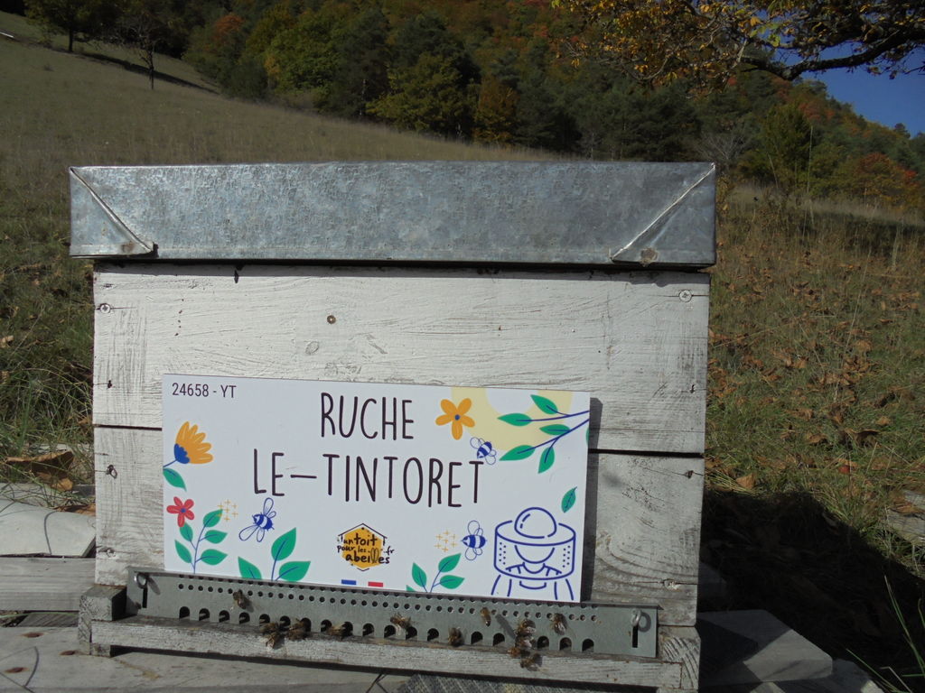 La ruche