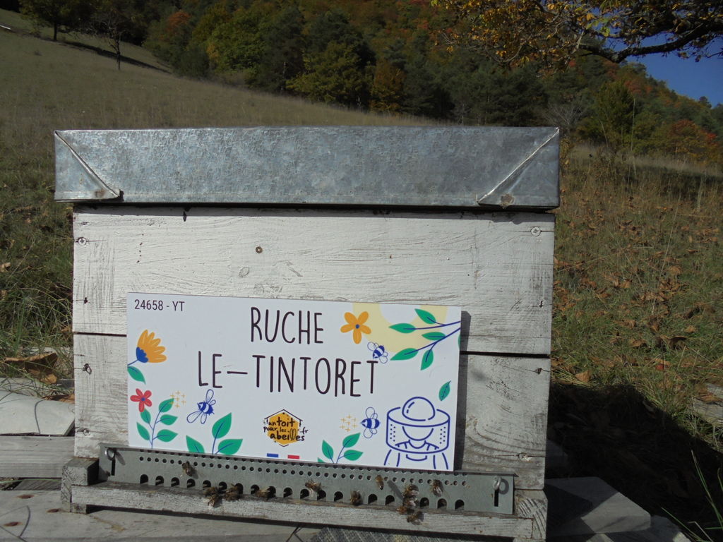 La ruche 