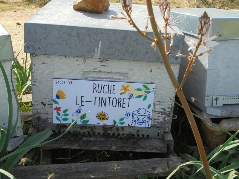 La ruche
