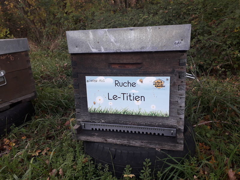La ruche Le-Titien