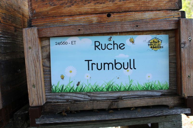 La ruche Trumbull