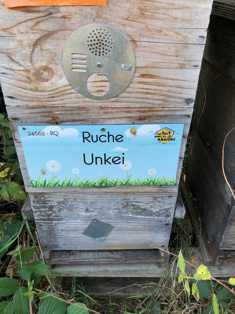 La ruche Unkei