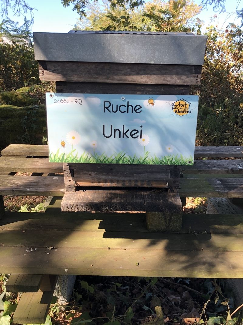 La ruche Unkei
