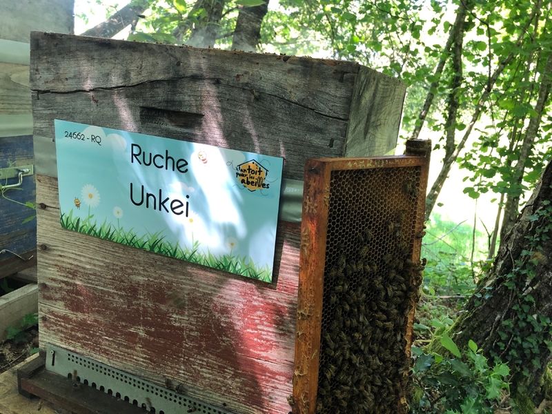 La ruche Unkei