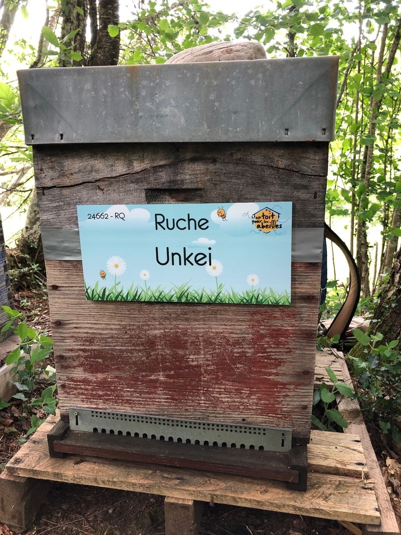 La ruche