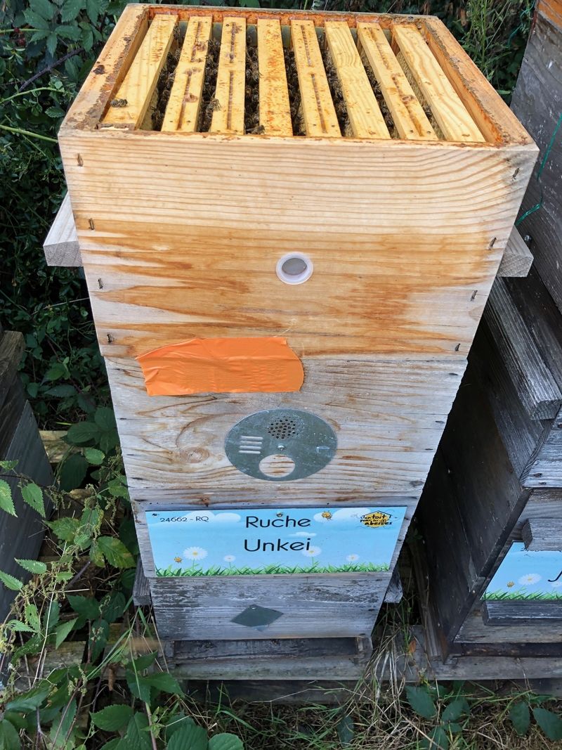 La ruche Unkei
