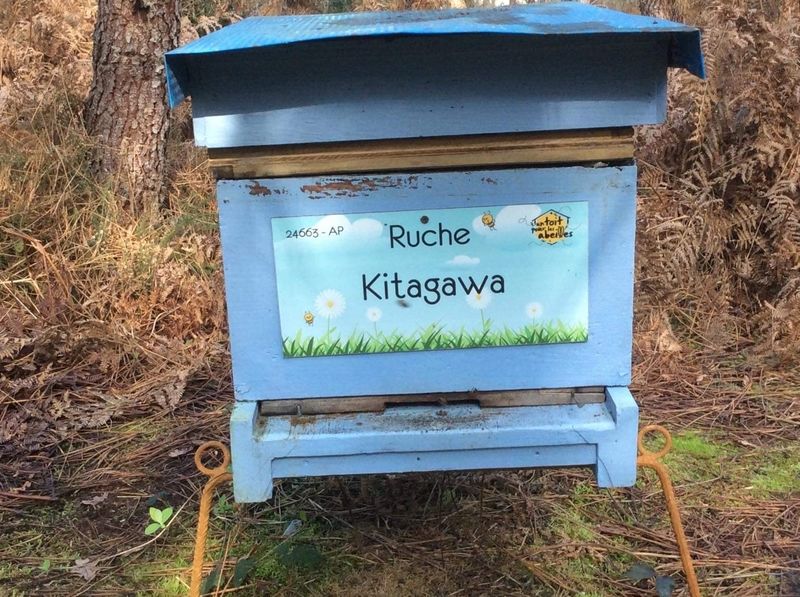 La ruche Kitagawa