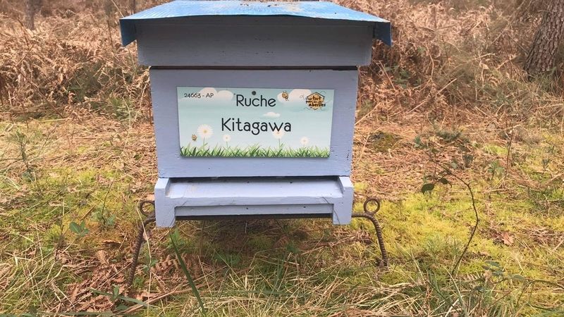 La ruche Kitagawa