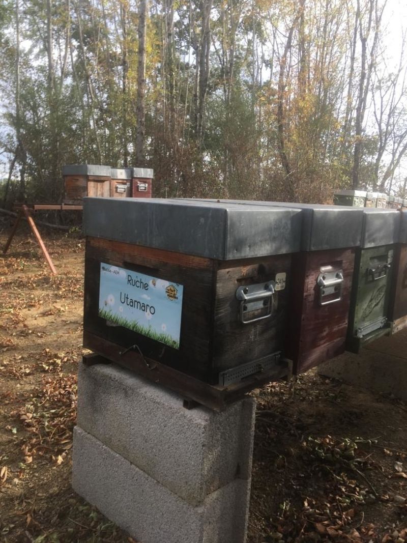 La ruche Utamaro
