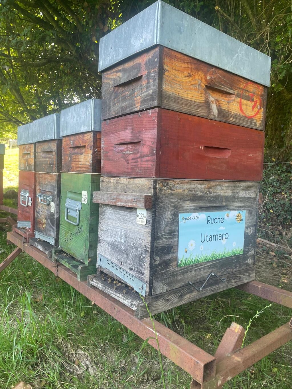 La ruche Utamaro