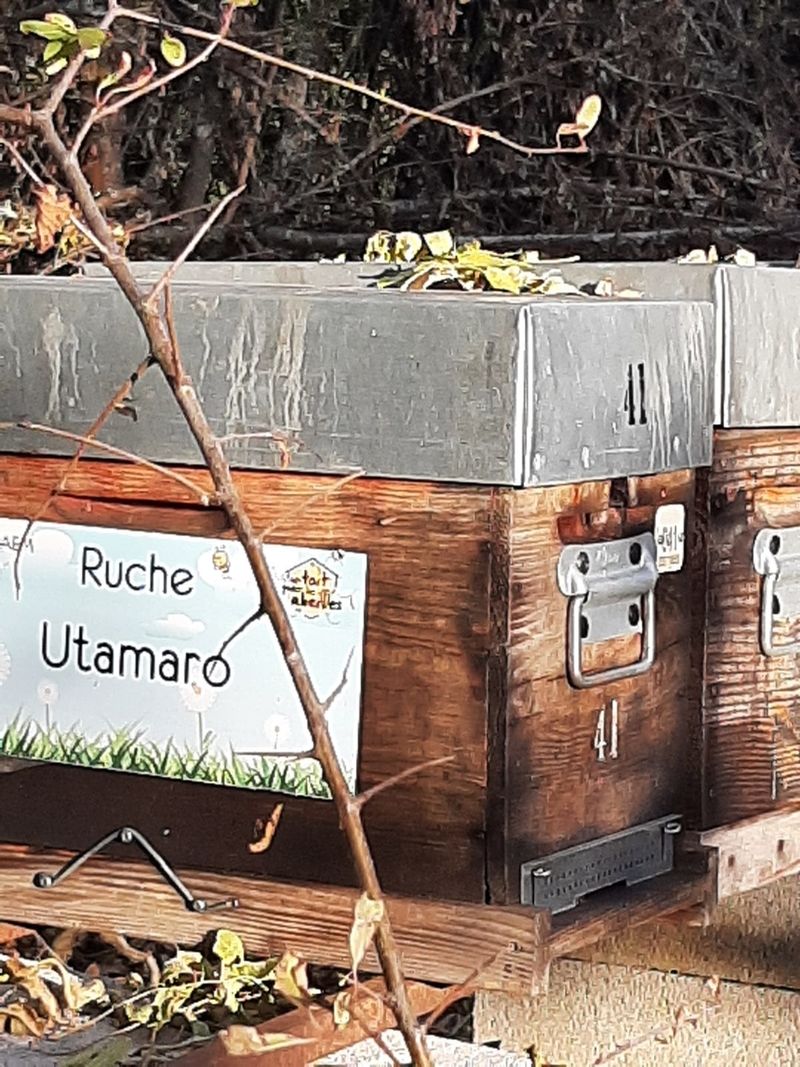 La ruche Utamaro